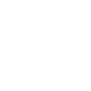 ico-elec-font-wh